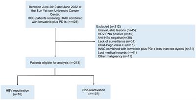 Risk of hepatitis B virus reactivation and its effect on survival in advanced hepatocellular carcinoma patients treated with hepatic arterial infusion chemotherapy and lenvatinib plus programmed death receptor-1 inhibitors